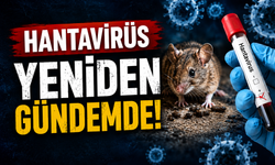 Hantavirüs yeniden gündemde: Belirtileri ve bulaşma yolları merak ediliyor