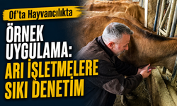 Of’ta Hayvancılıkta Örnek Uygulama: Arı İşletmelere Sıkı Denetim