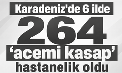 Karadeniz'de 6 ilde 264 "acemi kasap" hastanelik oldu