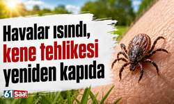 Havalar ısındı, kene tehlikesi yeniden kapıda
