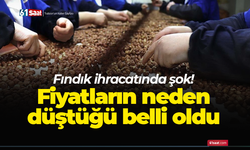 Fındık ihracatında şok! Fiyatların neden düştüğü belli oldu