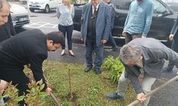 "Kutlu kökler projesi" Çaykara'da başladı