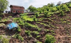 Ordu'da fındık bahçesinde heyelan meydana geldi
