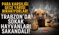 Trabzon'da sokak hayvanları skandalı! 'Para karşılığı gece yarısı bırakıyorlar'