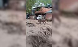 Şebinkarahisar'da şiddetli yağış