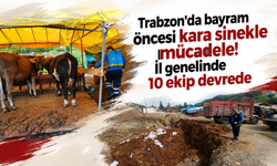 Trabzon'da bayram öncesi kara sinekle mücadele! İl genelinde 10 ekip devrede