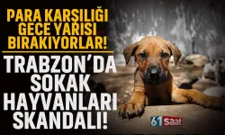 Trabzon'da sokak hayvanları skandalı! 'Para karşılığı gece yarısı bırakıyorlar'
