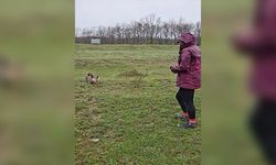 Aç kalan tilkiyi elleriyle besledi