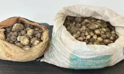 Tunceli’de salep operasyonu: 3 kişiye 2 milyon TL ceza