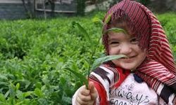 1 günlük çay yevmiyesi 3 bin TL olarak belirlendi