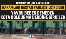 Trabzon'da rakamlar yanlış bildirildi, yavru, bebek demeden kota derdine düştüler!