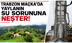 Trabzon Maçka’da yaylanın su sorununa neşter!
