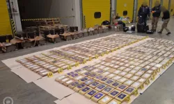 Muzların arasına gizlenmiş yarım tondan fazla uyuşturucu  yakalandı