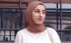 Van Barosu, Rojin Kabaiş dosyasından çekildi