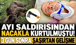 Ayı saldırısından nacakla kurtulmuştu! 3 gün sonra şaşırtan gelişme