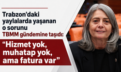 Trabzon’daki yaylalarda yaşanan o sorunu TBMM gündemine taşıdı: “Hizmet yok, muhatap yok, ama fatura var”