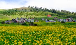 Bin 950 metrede görsel şölen