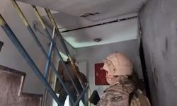 Siber ağa  büyük darbe!  409 şüpheli yakalandı