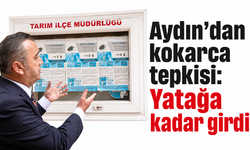 Aydın’dan kokarca tepkisi: Yatağa kadar girdi