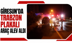 Giresun'da Trabzon plakalı araç alev aldı