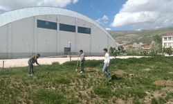 Bayburt’ta öğrenciler ‘Yeşil Vatan’ için fidan dikti
