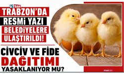 Trabzon’da resmi yazı belediyelere ulaştırıldı! Civciv ve fide dağıtımı yasaklanıyor mu?