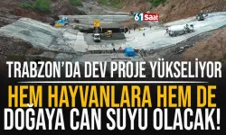 Trabzon'da dev proje yükseliyor! Hem hayvanlara, hem de doğaya can suyu olacak!