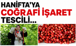Hanifta'ya coğrafi işaret tescili...