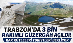 Trabzon’da 3 bin rakımlı güzergâh açıldı! Kar kütleleri turistleri bekliyor