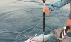 Dev balığın kantardaki kilosunu görünce sevinçten havalara uçtular