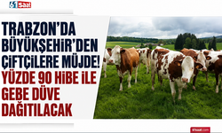 Trabzon’da Büyükşehir’den çiftçilere müjde! Yüzde 90 hibe ile gebe düve dağıtılacak
