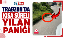 Trabzon’da kısa süreli yılan paniği!