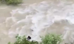 Artvin'de bir otomobil Çoruh Nehri'ne düştü; baba ile oğlu aranıyor