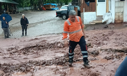 Artvin'de sağanak sonrası dereler taştı