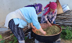 Karadeniz'de dut pekmezi mesaisi başladı: Kazanlar şifa için kaynıyor