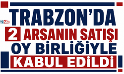 Trabzon’da 2 arsanın satışı oy birliğiyle kabul edildi