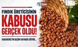 Fındık üreticisinin kabusu gerçek oldu!