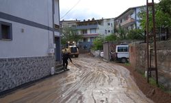 Gümüşhane'de sel nedeniyle bir ev, ahır ve 4 araç zarar gördü