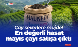 Çay severlere müjde! En değerli hasat mayıs çayı satışa çıktı