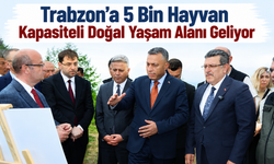 Trabzon’a 5 bin hayvan kapasiteli doğal yaşam alanı geliyor