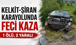 Gümüşhane'de devrilen hafif ticari araçtaki 1 kişi öldü, 2 kişi yaralandı