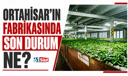 Ortahisar'ın fabrikasında son durum ne?