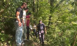 Ihlamur toplamaya gitti, geri dönmedi! Sakarya'dan Trabzon'a acı haber