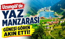 Uzungöl'de yaz manzarası güneşi gören akın etti