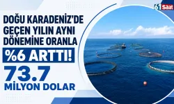 Doğu Karadeniz'de geçen yılın aynı dönemine oranla %6 arttı! 73.7 milyon dolar