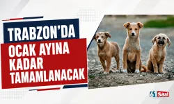 Trabzon'da ocak ayına kadar tamamlanacak