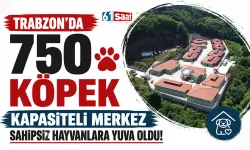 Trabzon'da 750 köpek kapasiteli merkez sahipsiz hayvanlara yuva oldu!