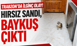Trabzon’da ilginç olay! Hırsız sandı baykuş çıktı