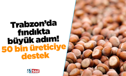 Trabzon'da fındıkta büyük adım: 50 bin üreticiye destek