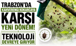 Trabzon’da kahverengi kokarcaya karşı yeni dönem! Teknoloji devreye giriyor